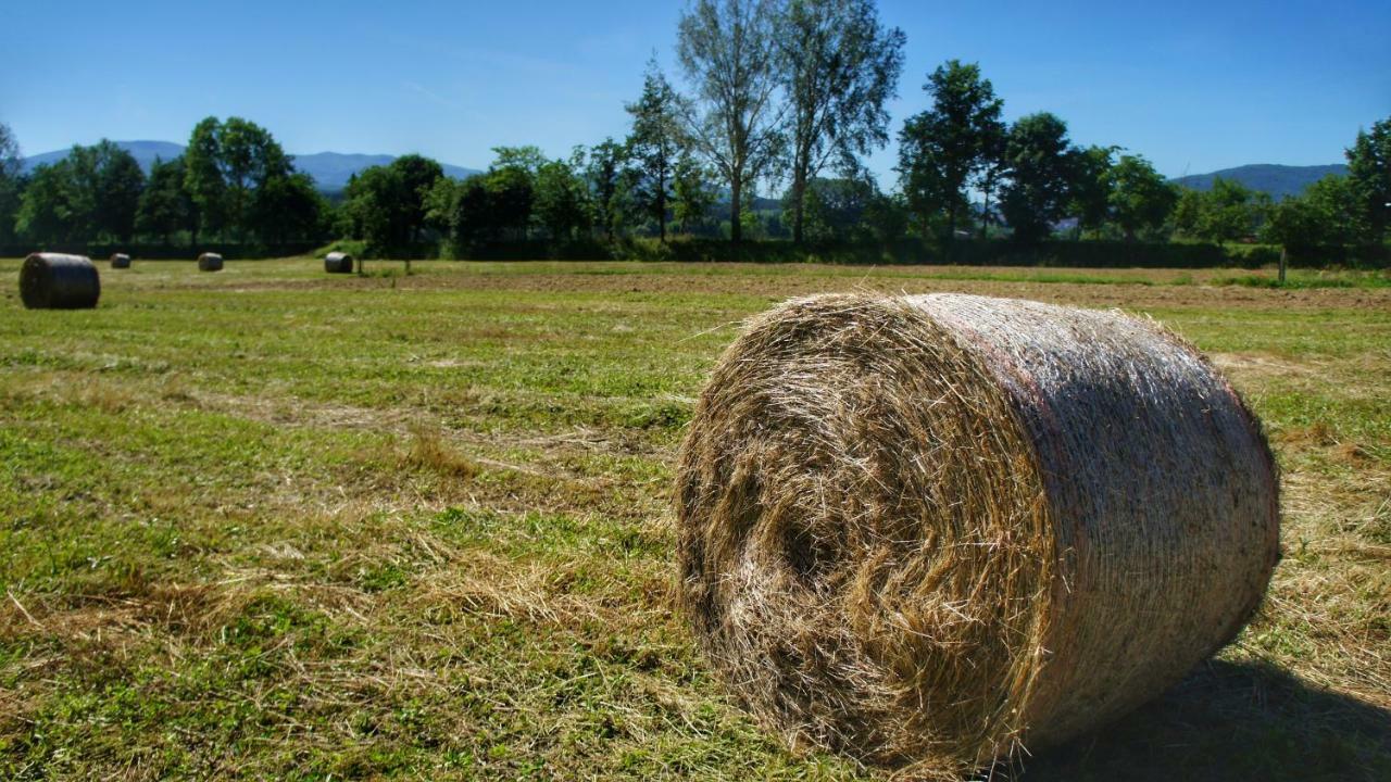 Agriturismo Casa Agricola Rossi Appartamenti In Casentino Soci Exterior foto