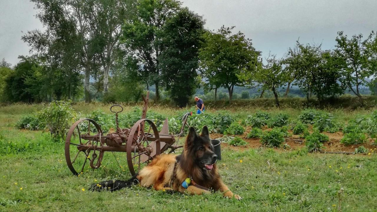 Agriturismo Casa Agricola Rossi Appartamenti In Casentino Soci Exterior foto